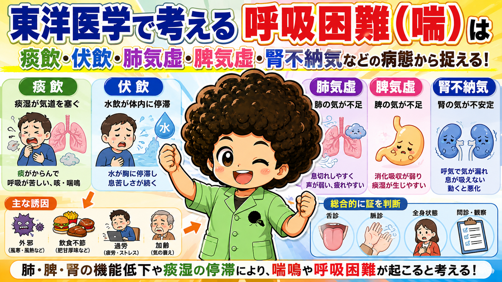 東洋医学で考える喘：痰飲・伏飲・肺気虚・脾気虚・腎不納気と主な誘因