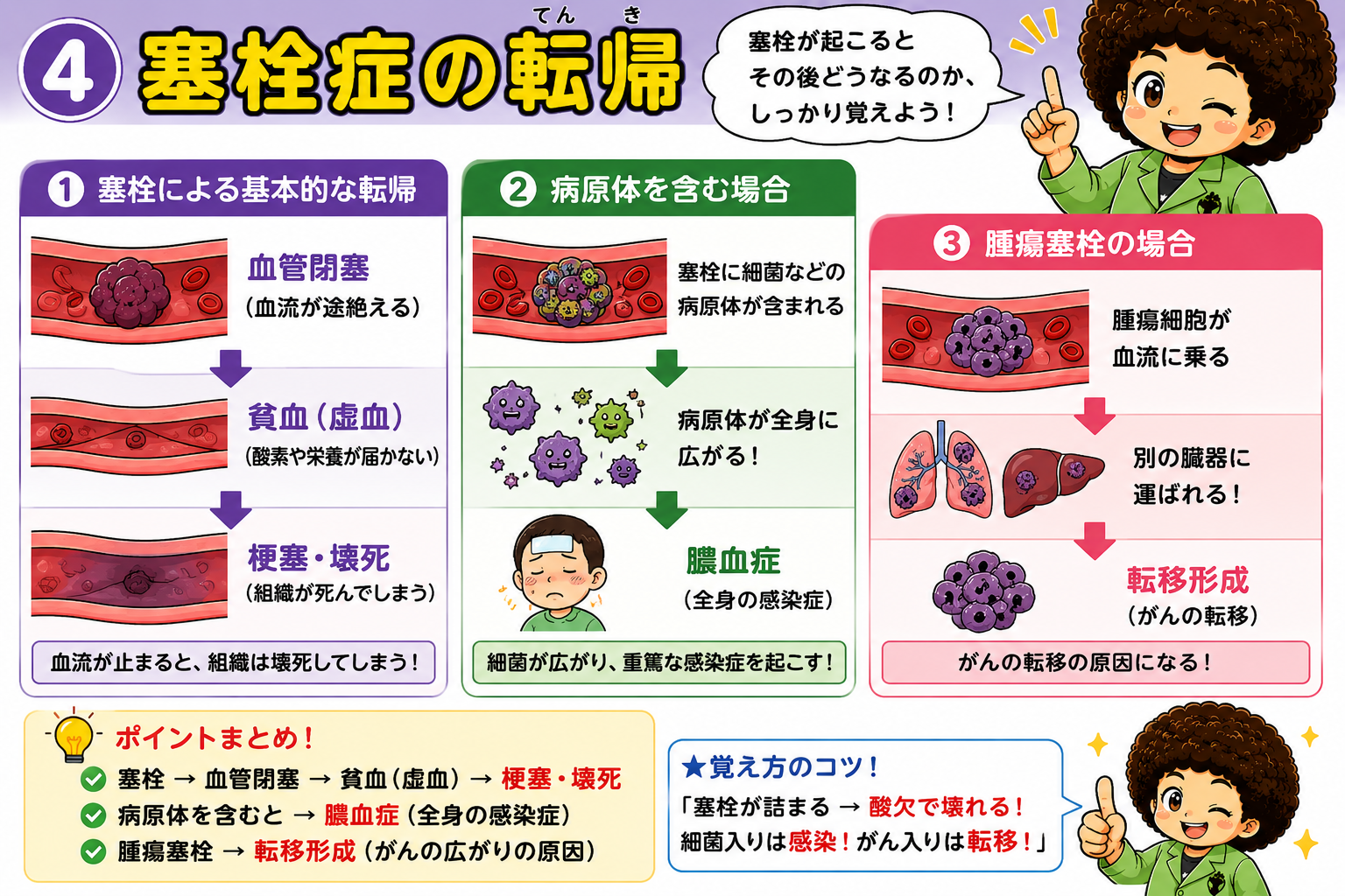 塞栓症の転帰 — 梗塞・壊死／膿血症／転移形成の3パターン