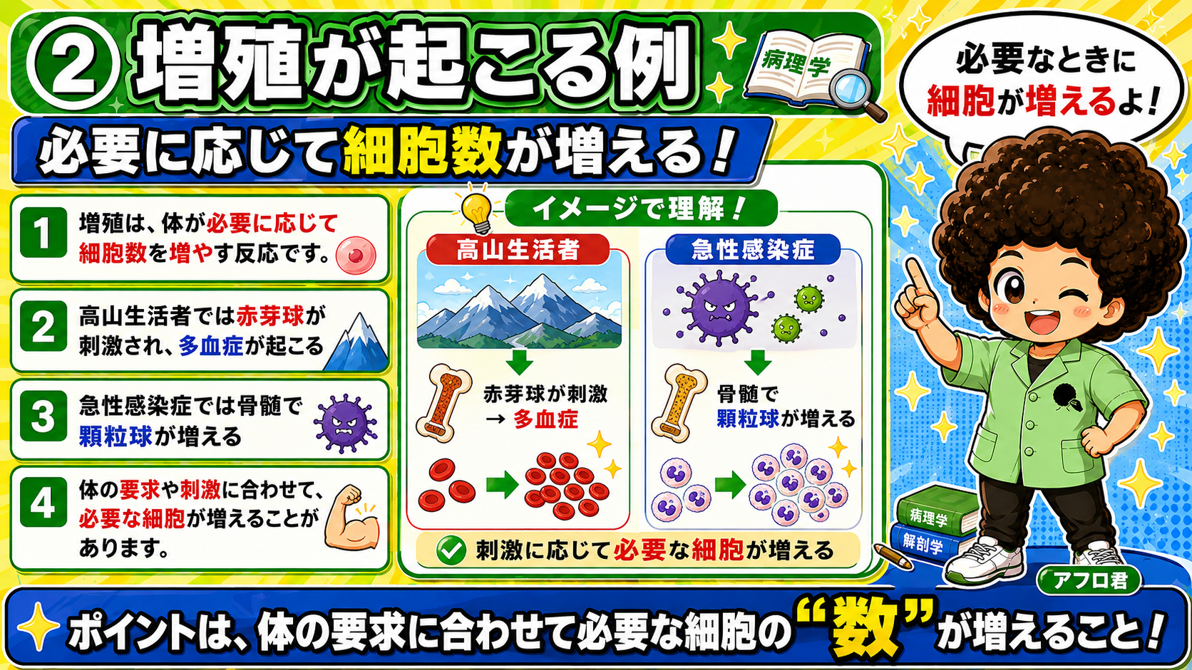 ホルモンバランスの乱れで器官に増殖が起こる3例