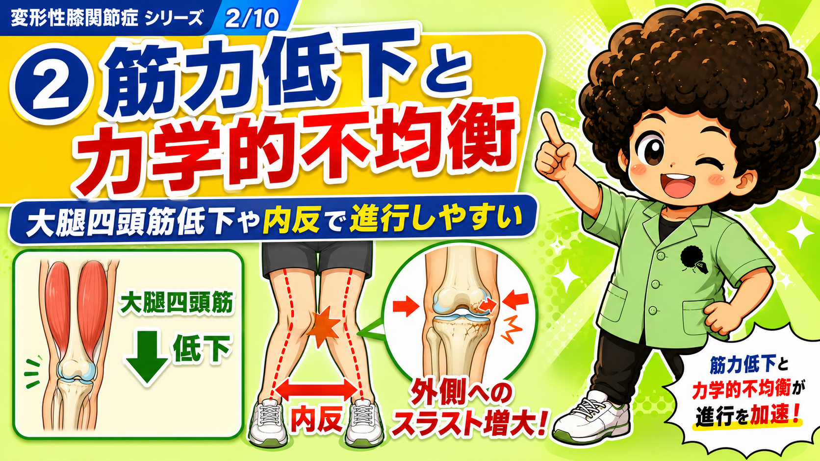 大腿四頭筋低下と内反・外側スラストによる進行の加速
