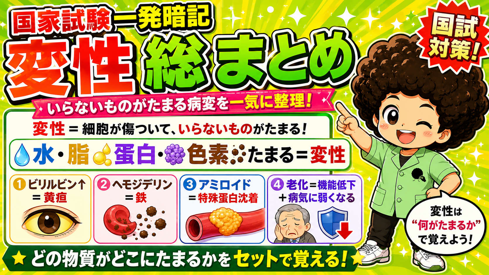 変性（変性の種類と病態）｜変性（変性の種類と病態） 1