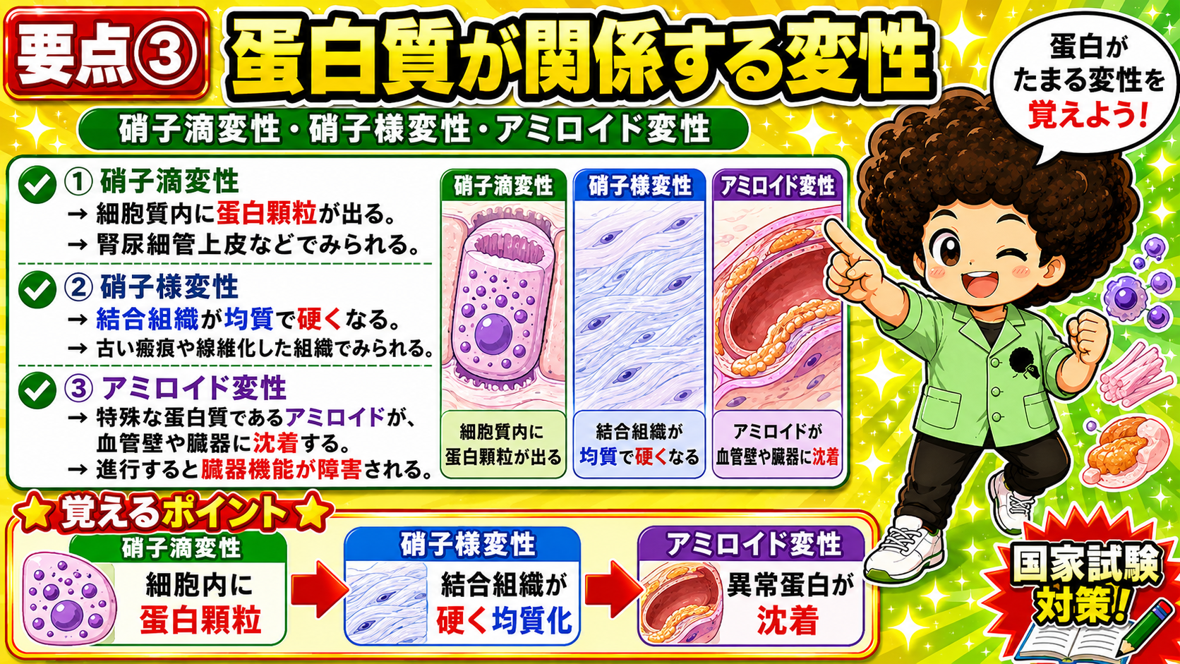 蛋白質が関係する3つの変性。細胞内か細胞外かで区別する。