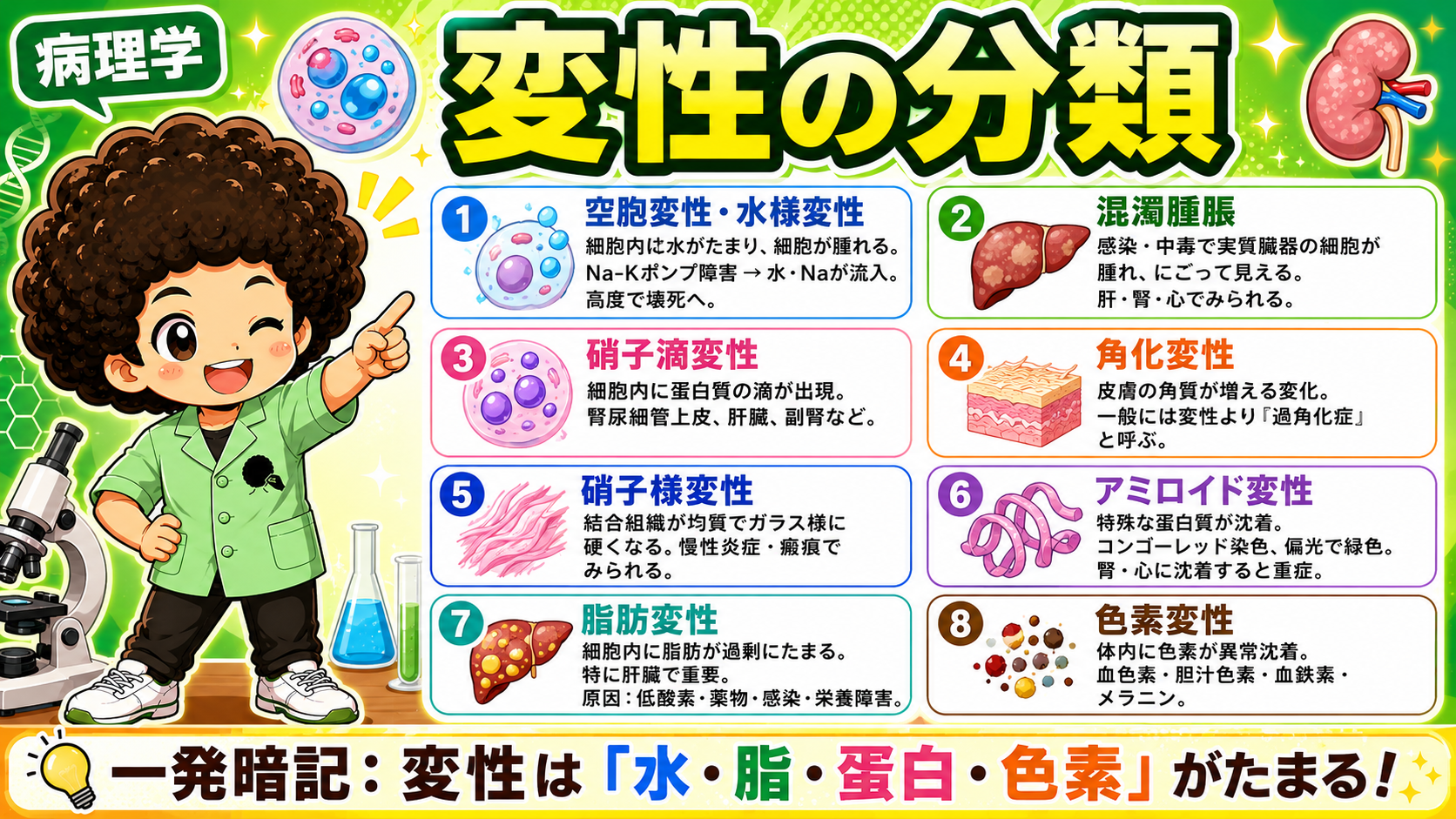 変性の分類8種。番号と好発臓器をセットで覚える。