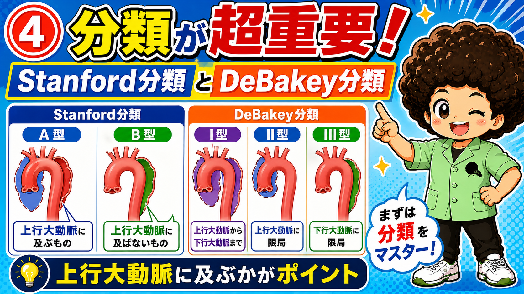Stanford分類(A型・B型)とDeBakey分類(I型・II型・III型)の範囲の違い