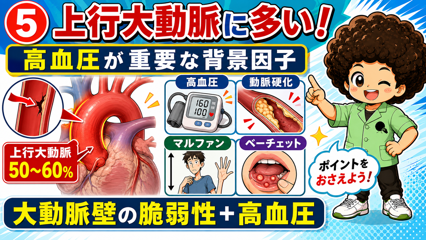 上行大動脈に多く発生し、高血圧が重要な背景因子となる