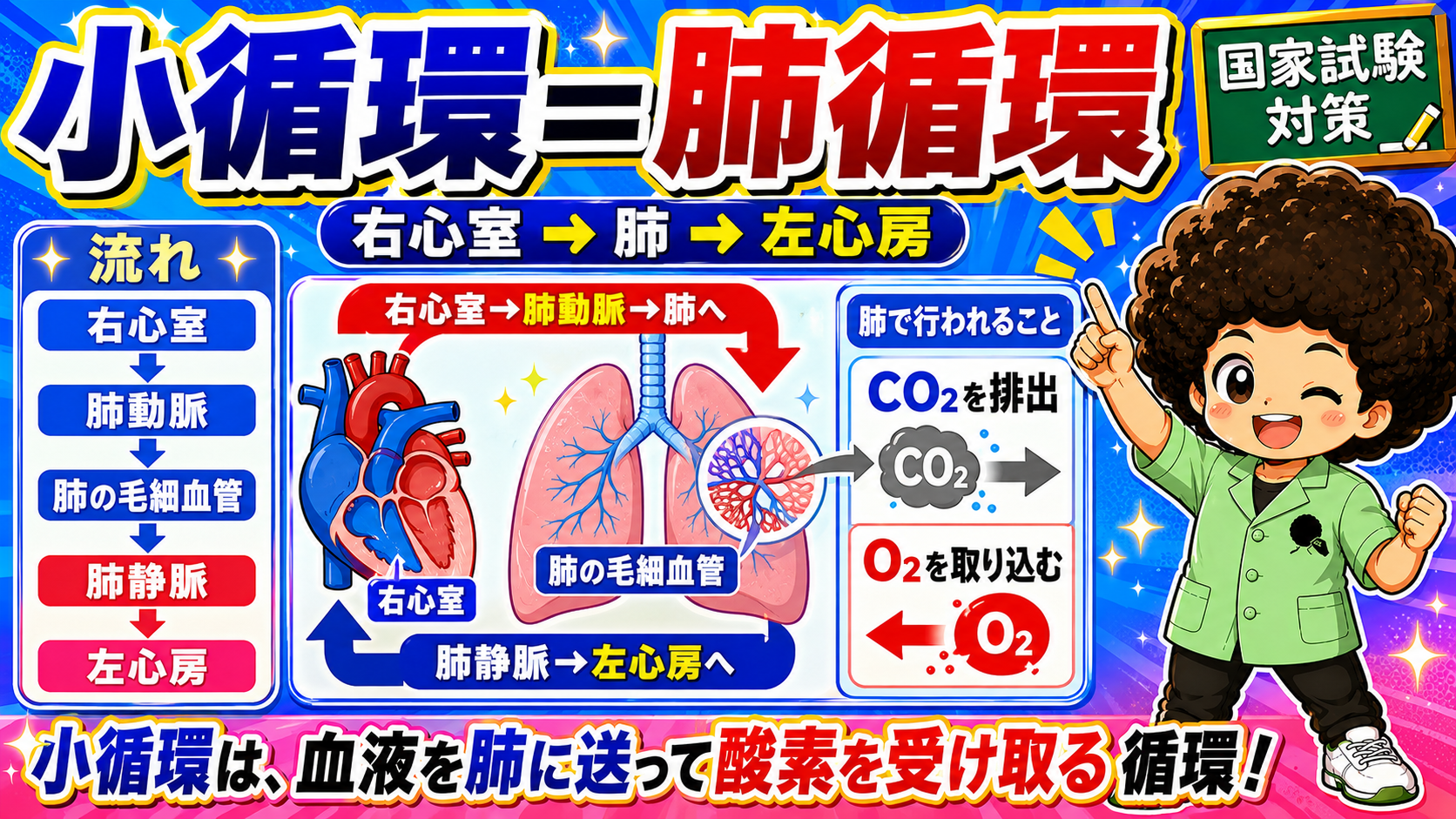 大循環と小循環｜大循環と小循環 1