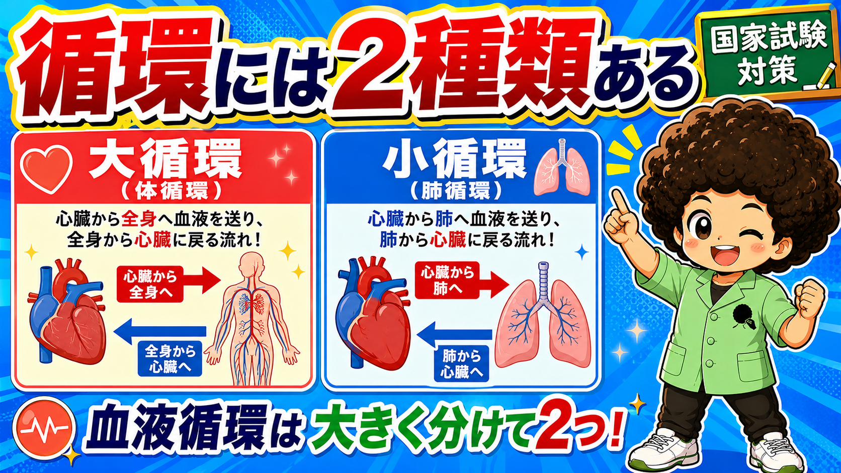 大循環＝体循環：左心室→大動脈→毛細血管→大静脈→右心房