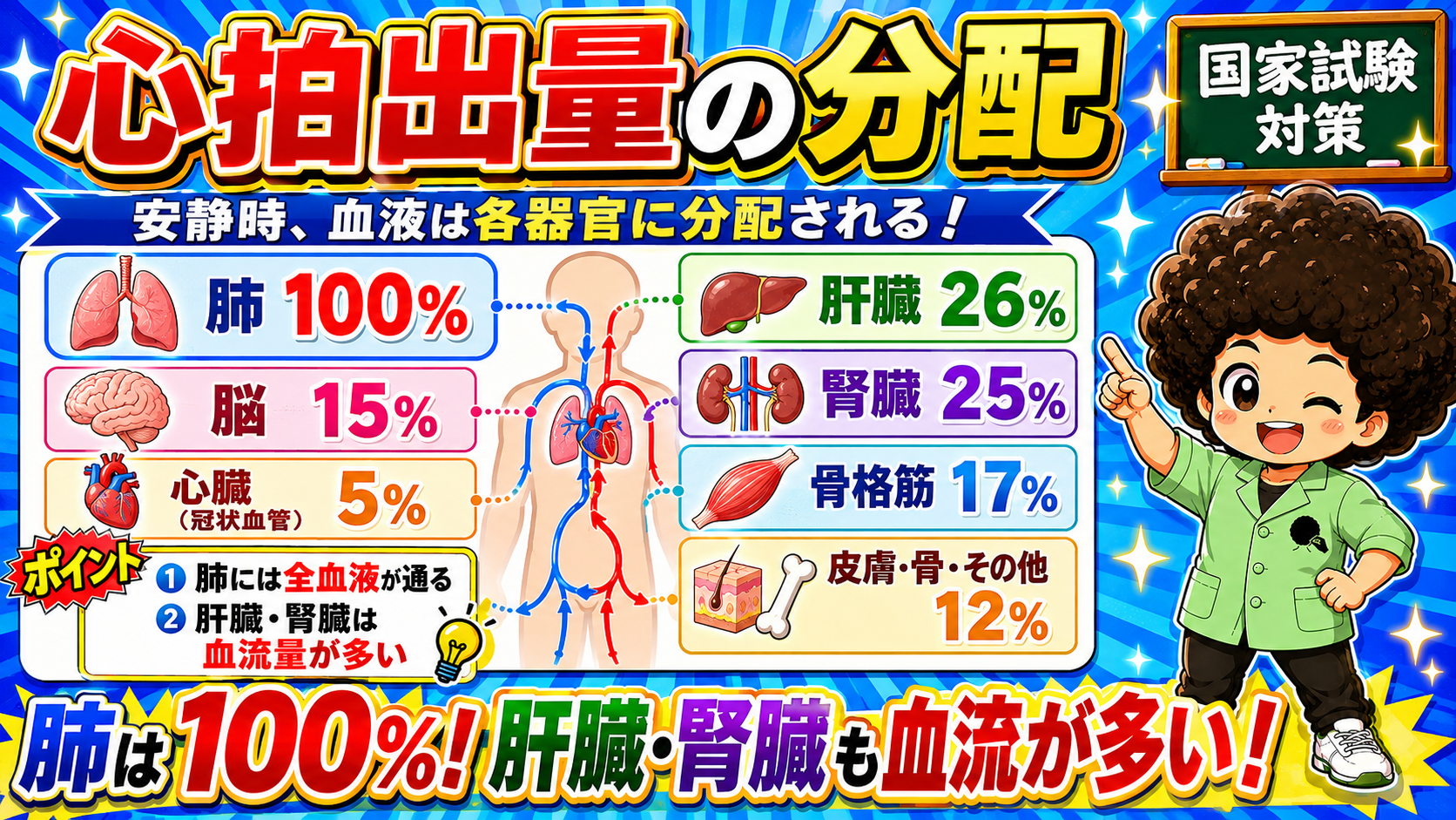 小循環＝肺循環：右心室→肺動脈→肺の毛細血管→肺静脈→左心房