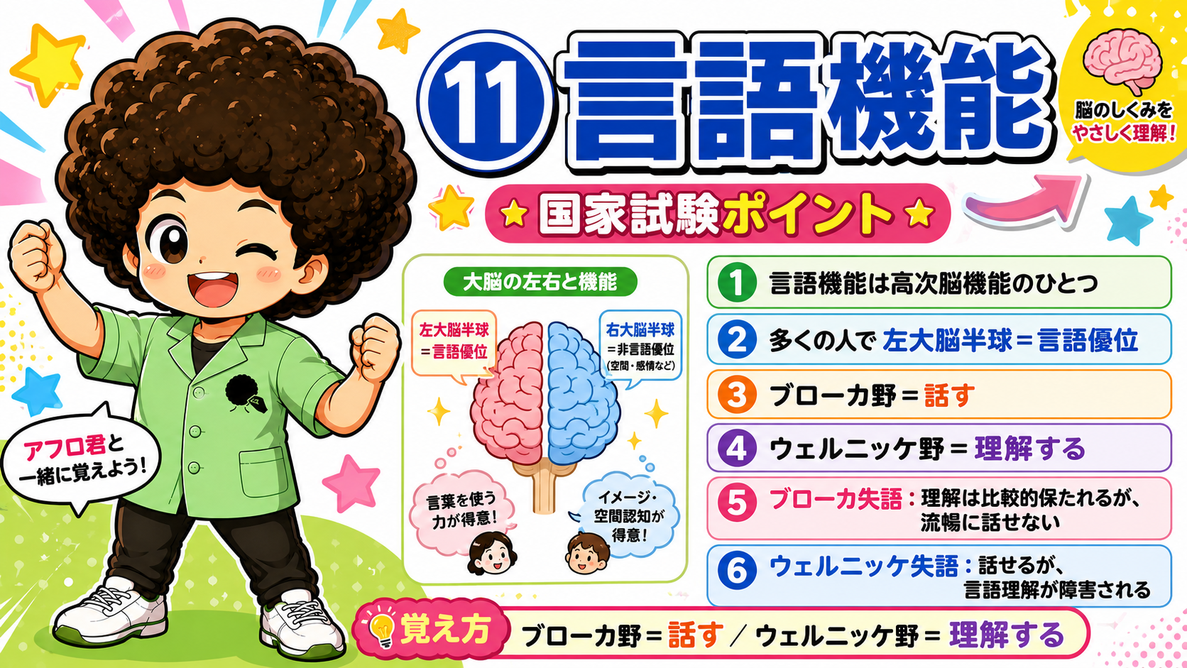 ブローカ野＝話す／ウェルニッケ野＝理解する