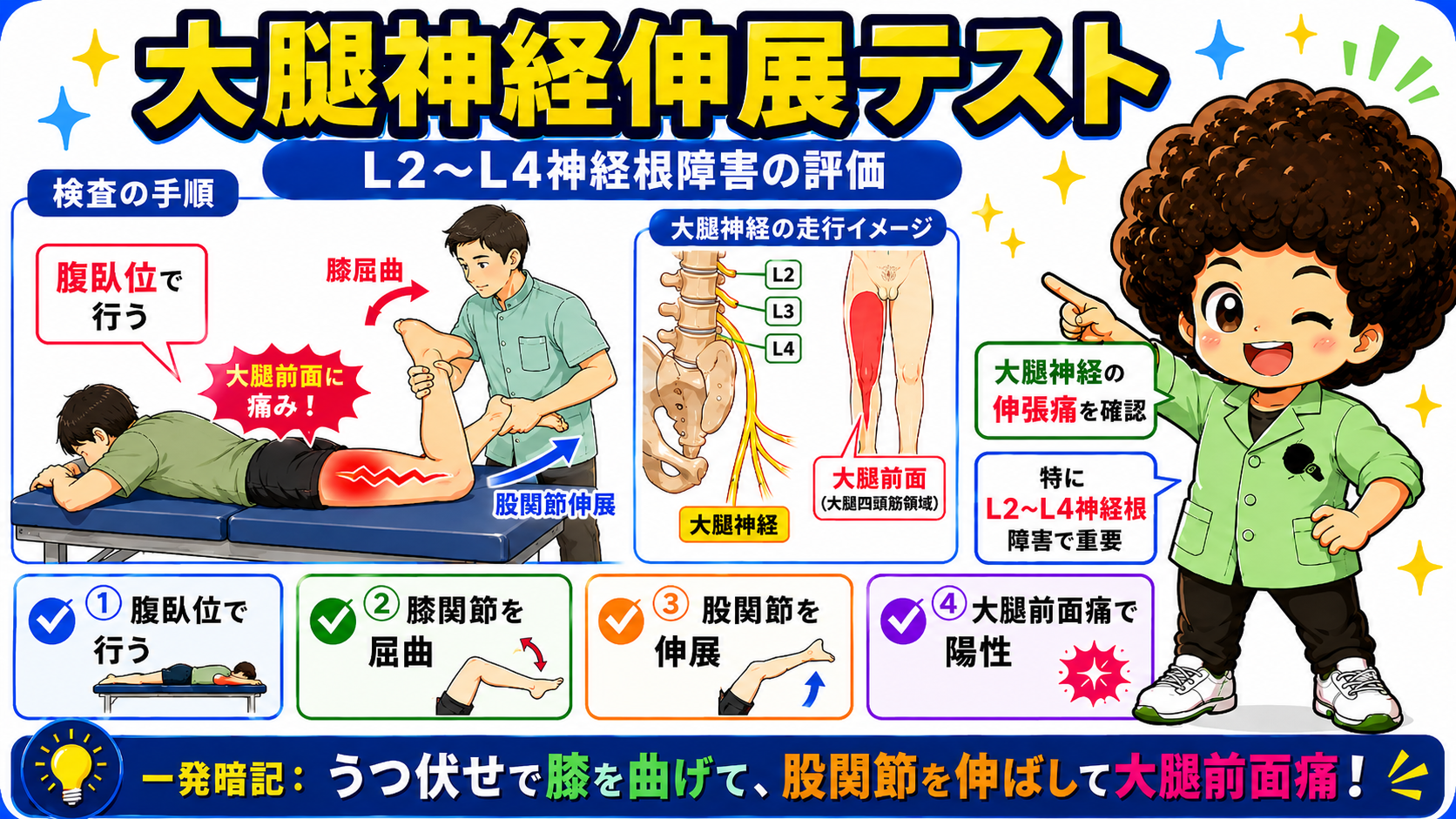 下肢の徒手検査（大腿神経伸展テスト・ブラガード徴候ほか）｜下肢の徒手検査（大腿神経伸展テスト・ブラガード徴候ほか） 1