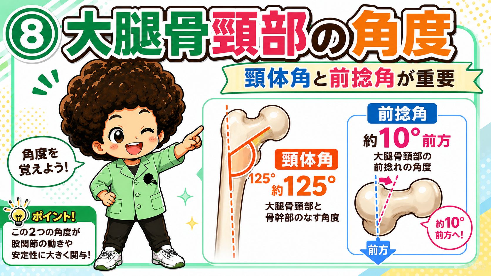 頸体角は約125°、前捻角は約10°前方