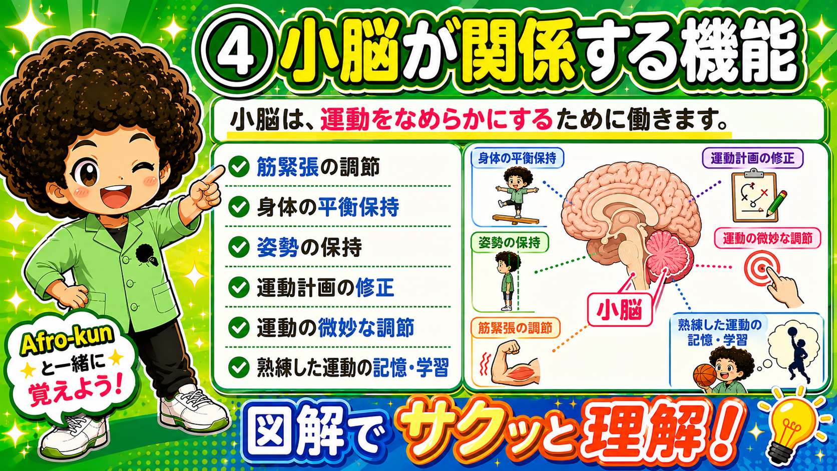 小脳が関係する6つの機能