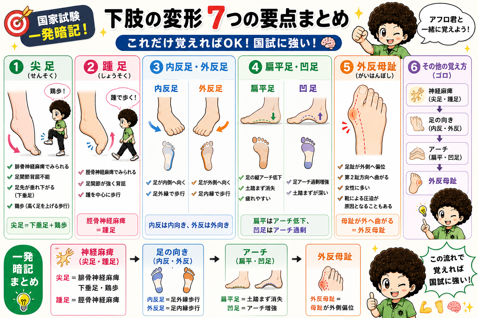 下肢の変形7つの要点まとめ。尖足→踵足→内反・外反→アーチ→外反母趾の順で整理