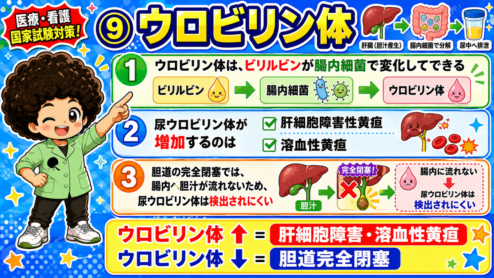 ウロビリン体：増加＝肝細胞障害・溶血性黄疸／減少＝胆道完全閉塞