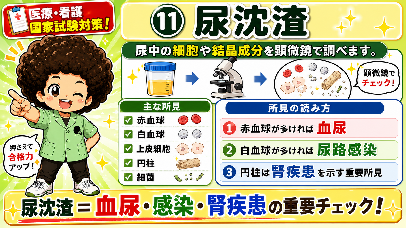 尿沈渣＝血尿・感染・腎疾患の重要チェック