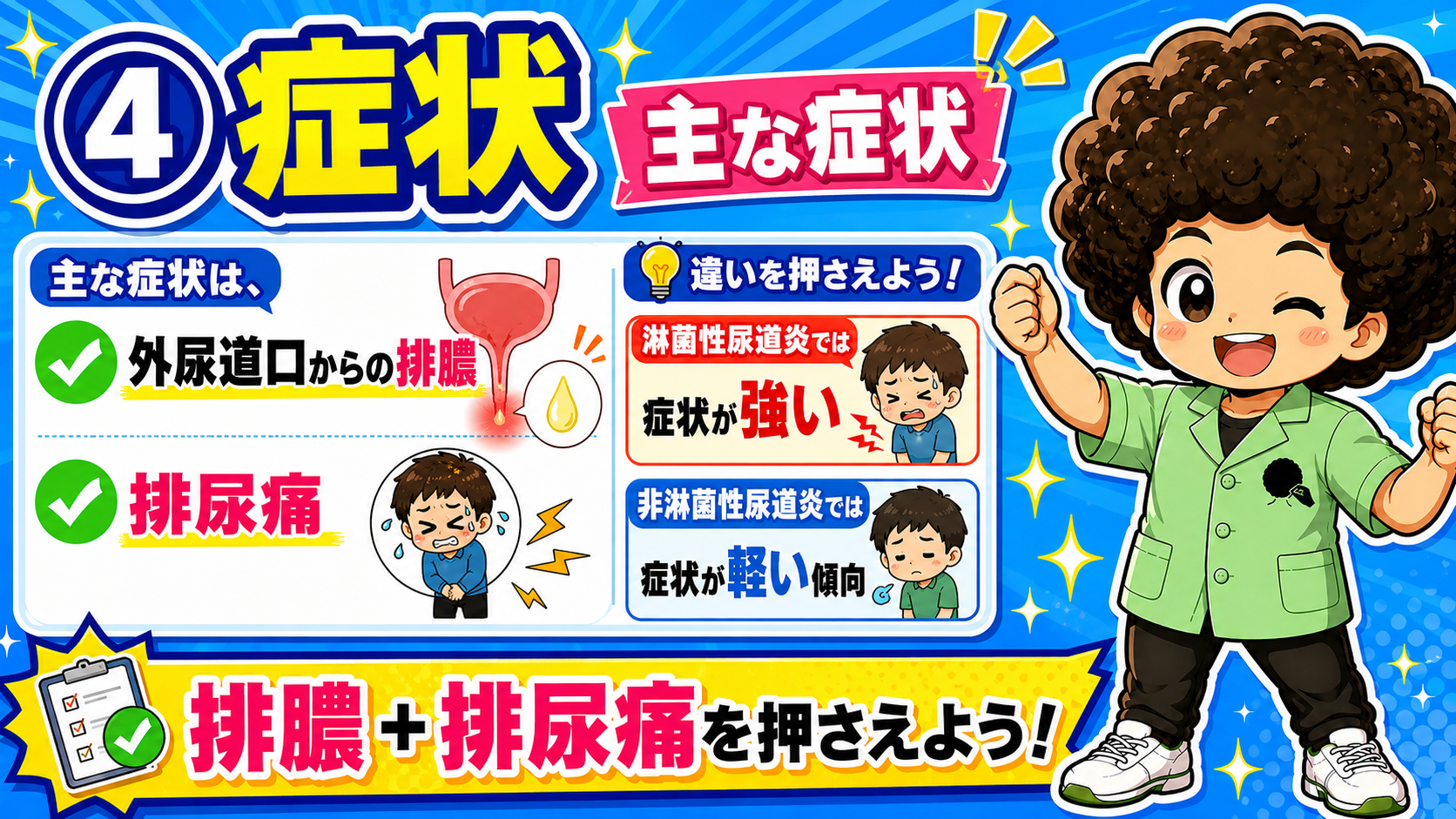 主な症状:外尿道口からの排膿と排尿痛、淋菌性/非淋菌性での強さの違い