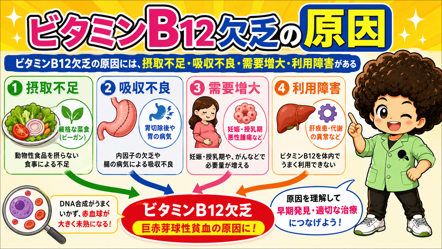 ビタミンB12欠乏の4つの原因