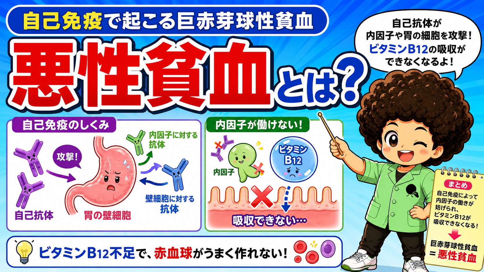 自己免疫で内因子が働けなくなる悪性貧血