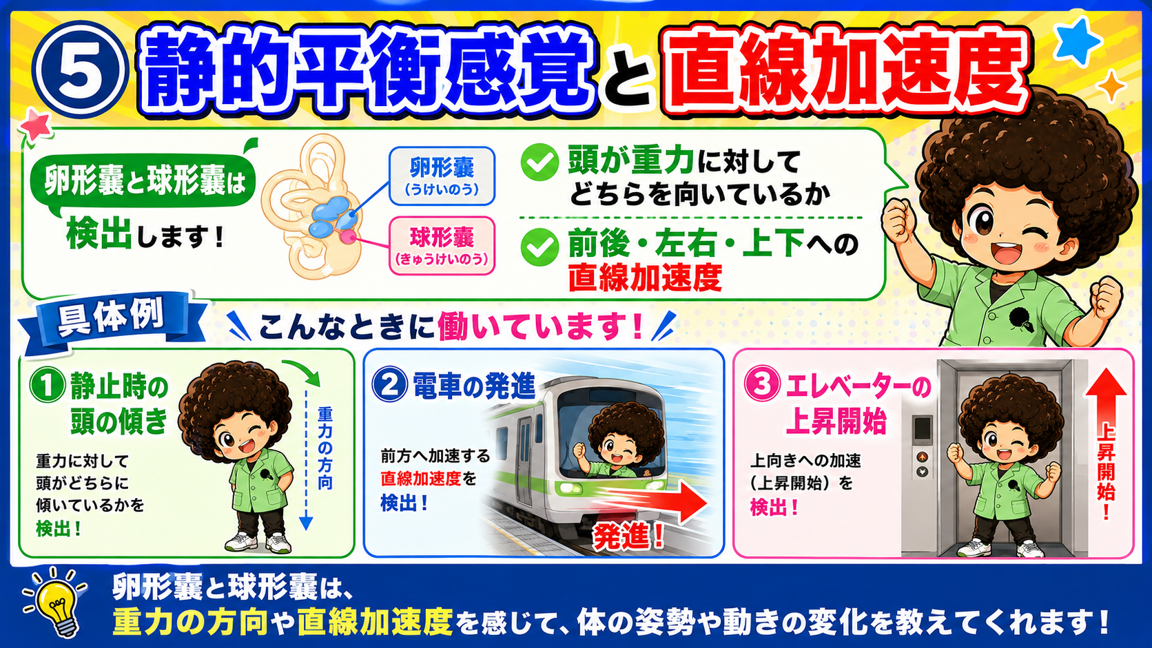 静的平衡感覚と直線加速度の具体例