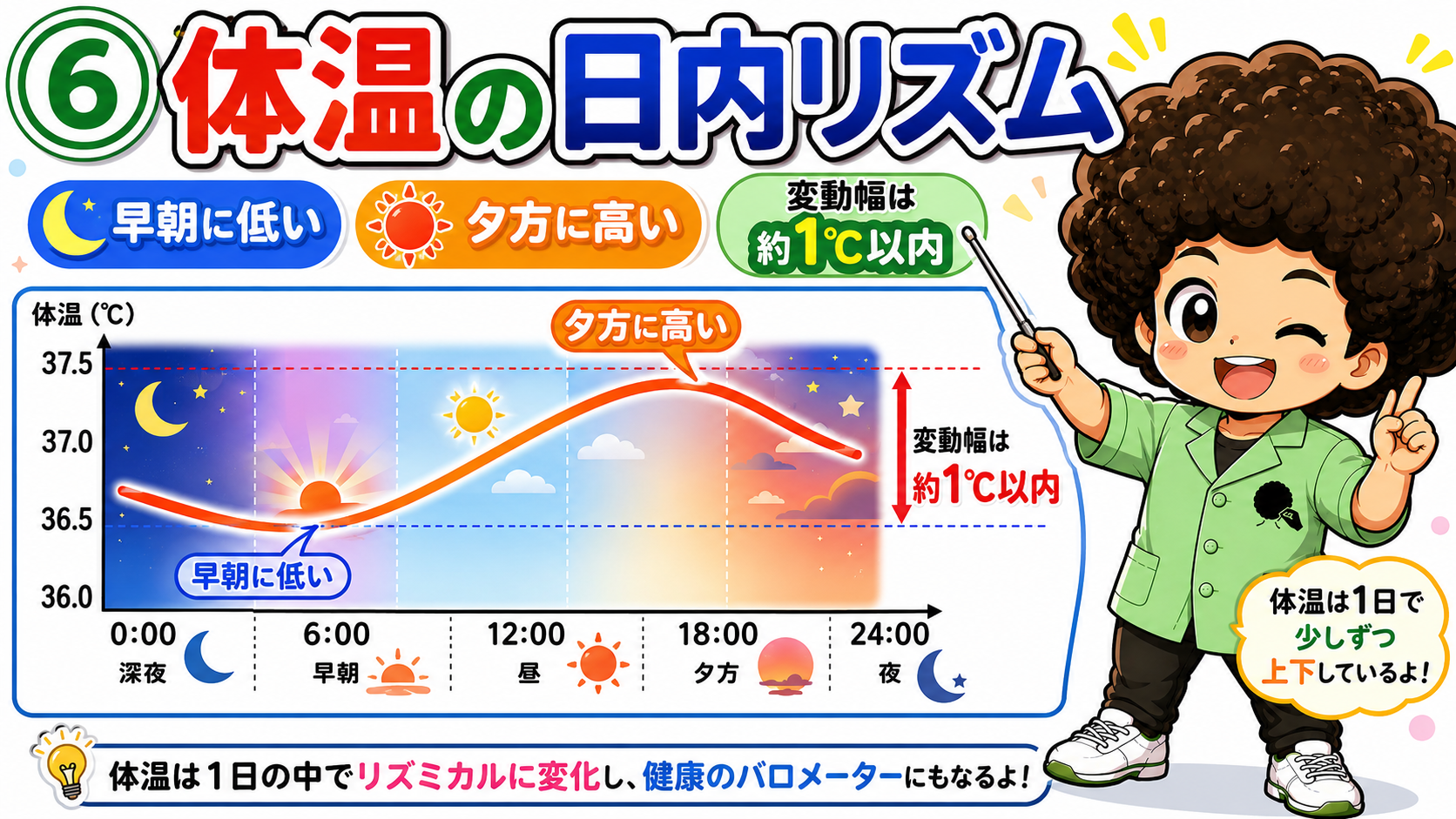 体温は早朝に低く夕方に高い。変動幅は約1℃以内