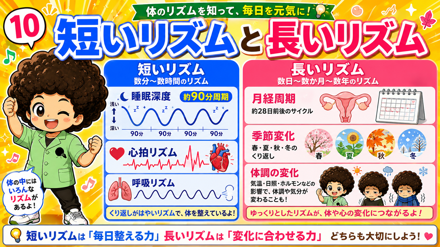 短いリズム（約90分の睡眠深度など）と長いリズム（約28日の月経周期など）