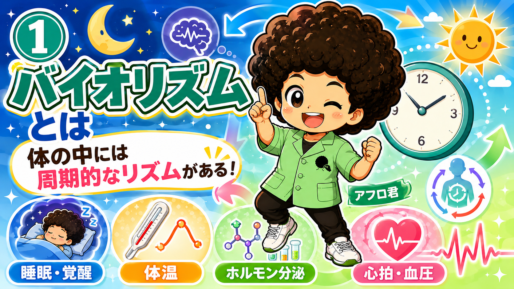 バイオリズム（日内リズム）｜バイオリズム（日内リズム） 1