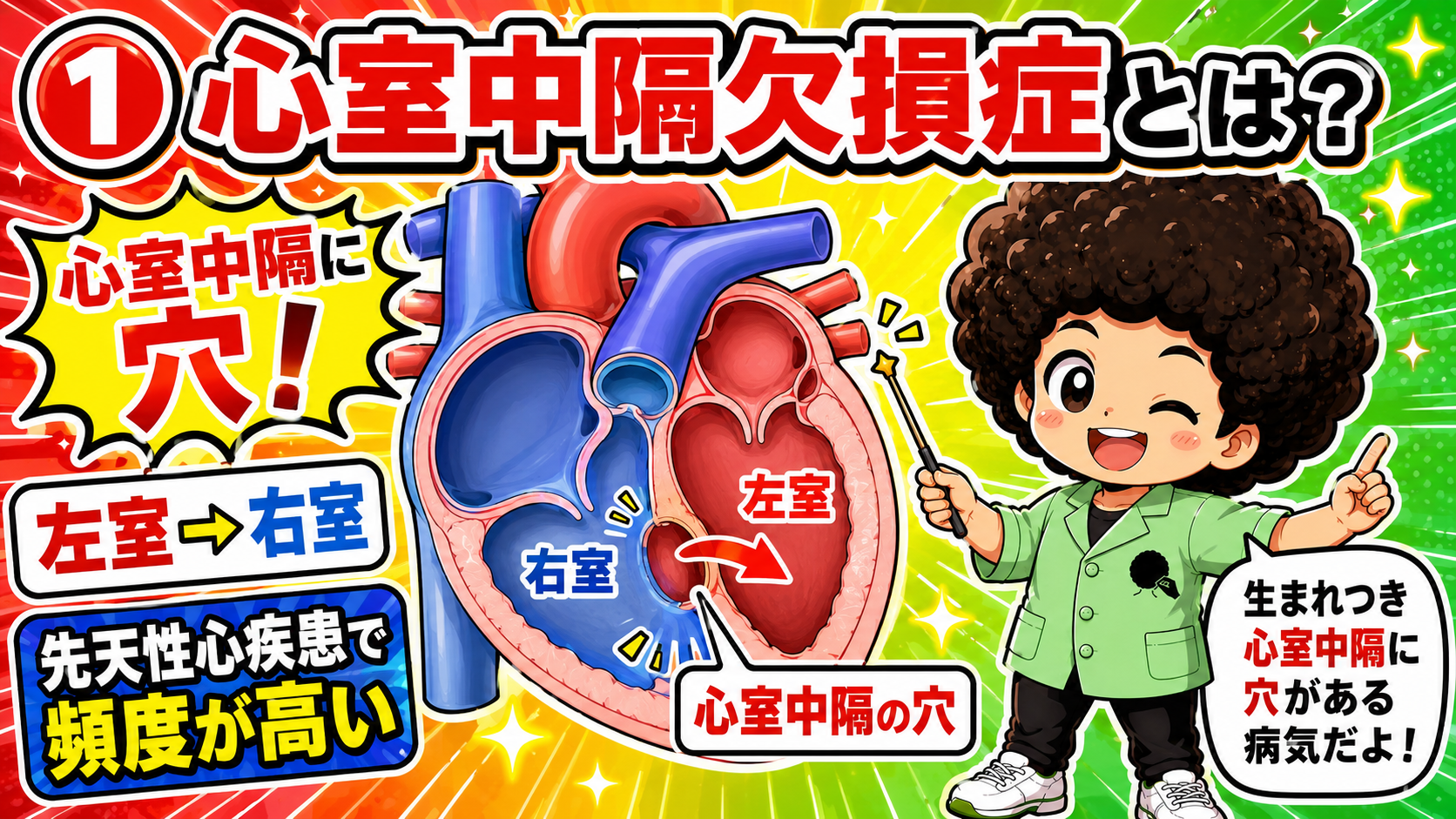 心室中隔欠損症｜心室中隔欠損症 1
