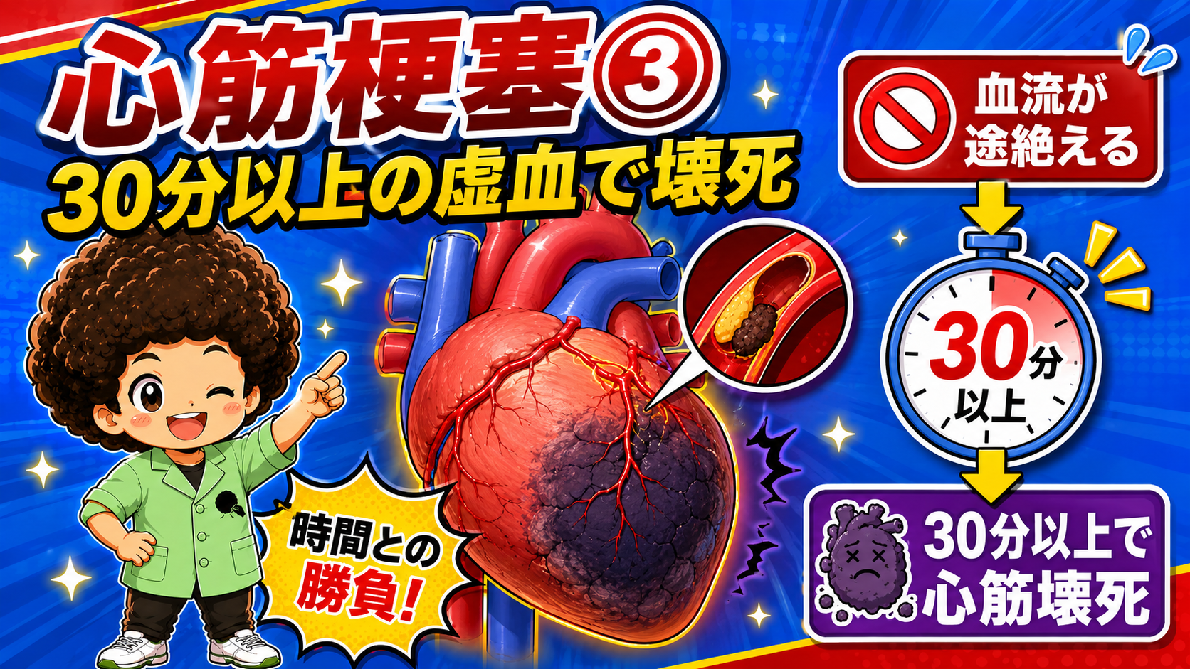 30分以上の虚血が続くと心筋壊死に至る