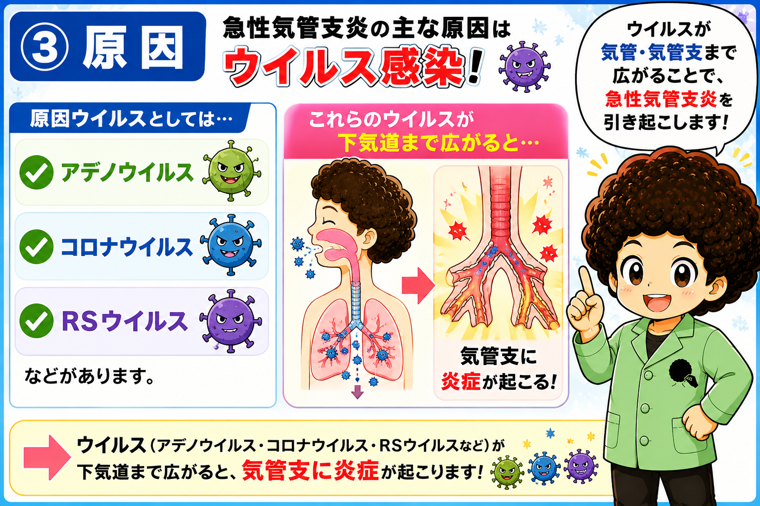 気管支上皮の傷害→咳の誘発→分泌物増加という経過で咳・痰・肺雑音が出やすくなる