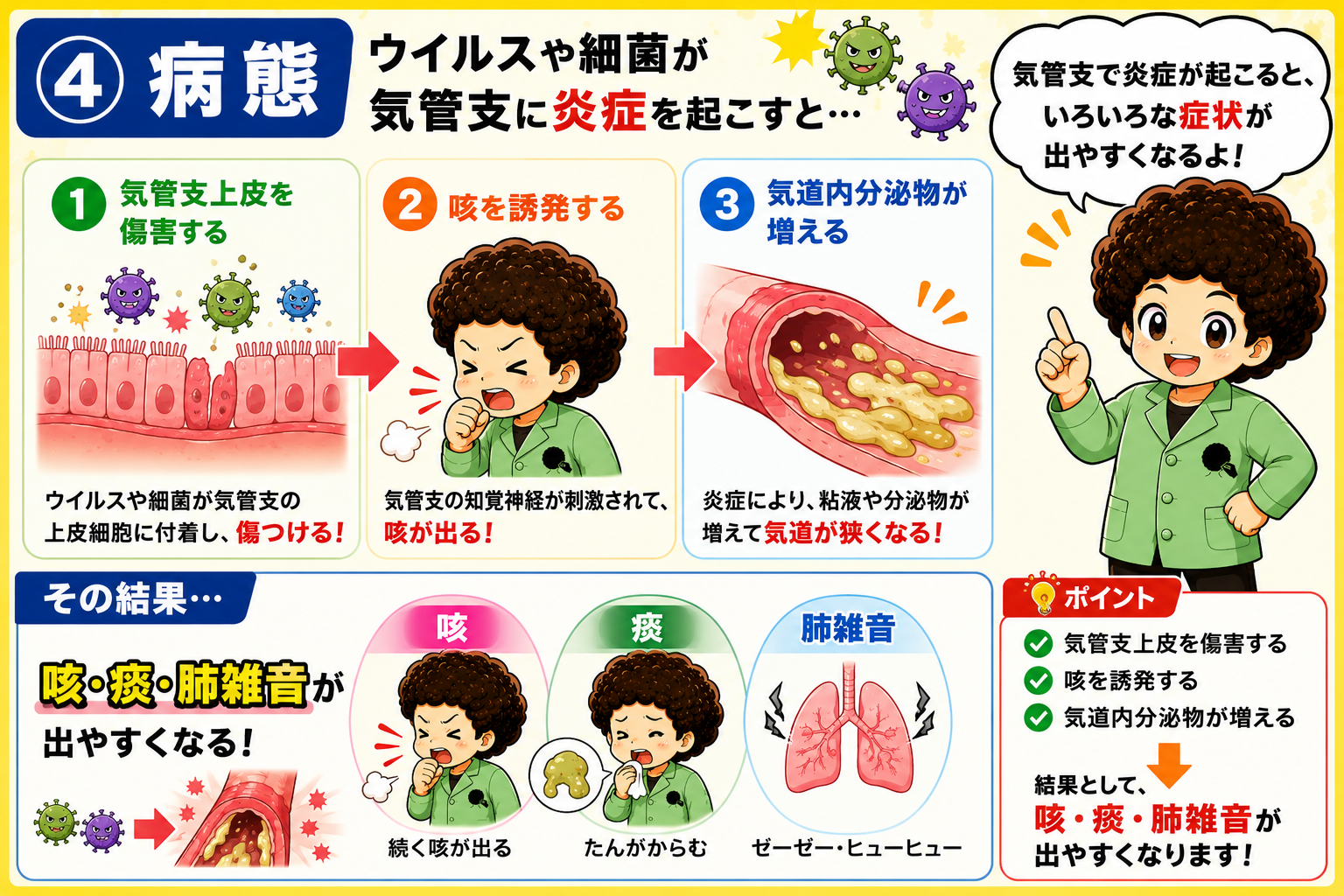 痰の性状（白色=ウイルス性、黄色~黄緑色の膿性痰=細菌性二次感染）と肺雑音の種類