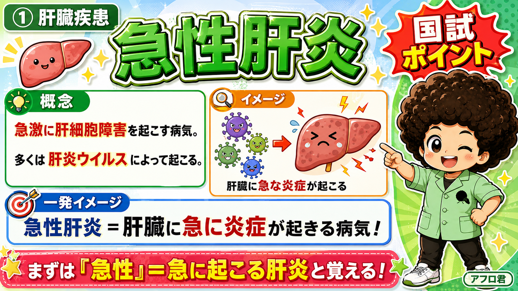 急性肝炎の概念(肝臓への急な炎症)