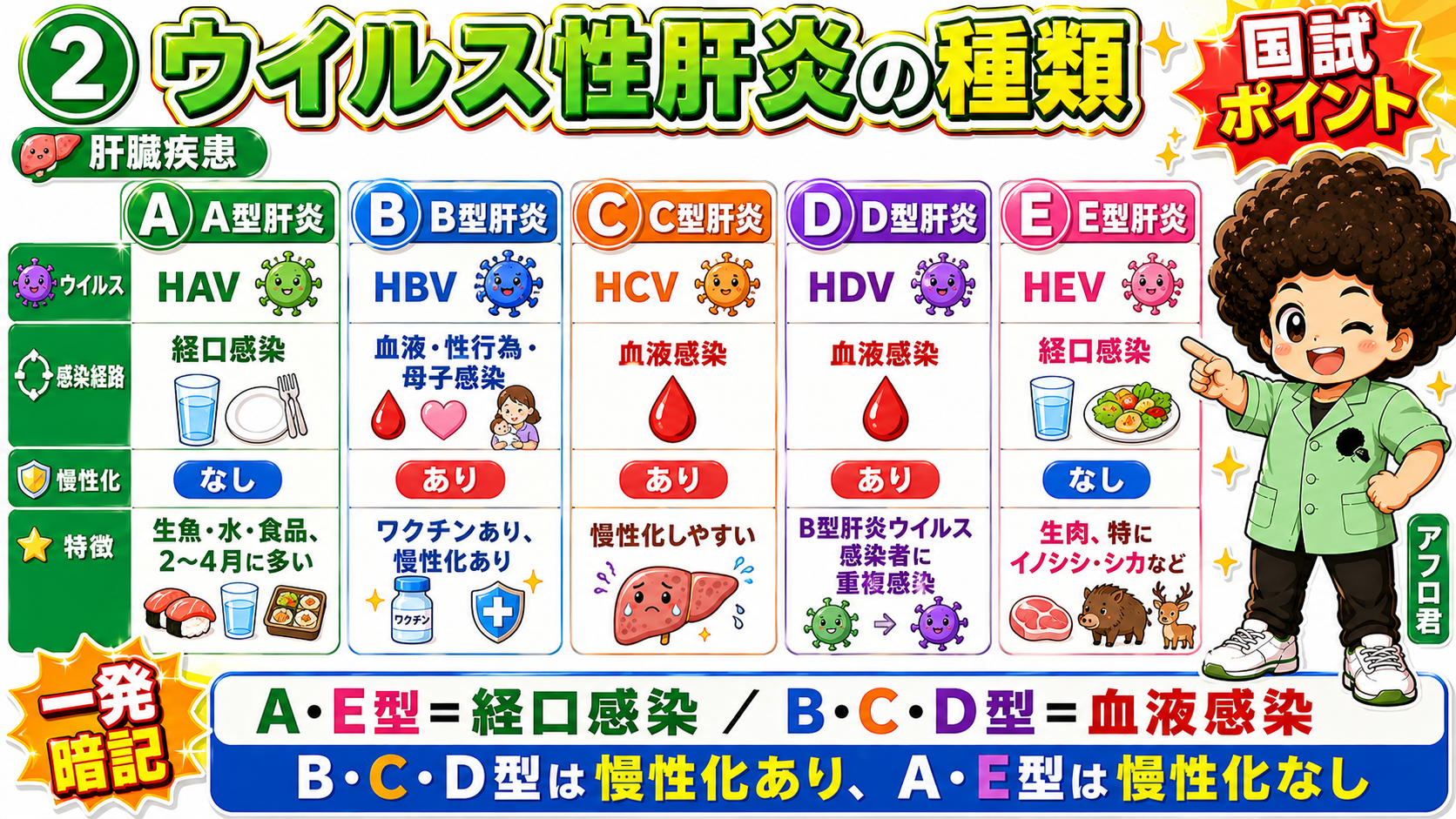 ウイルス性肝炎(A~E型)の比較表