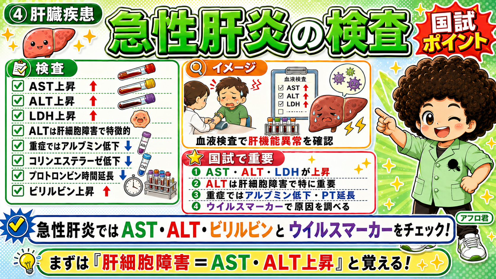 急性肝炎の検査所見と国試ポイント
