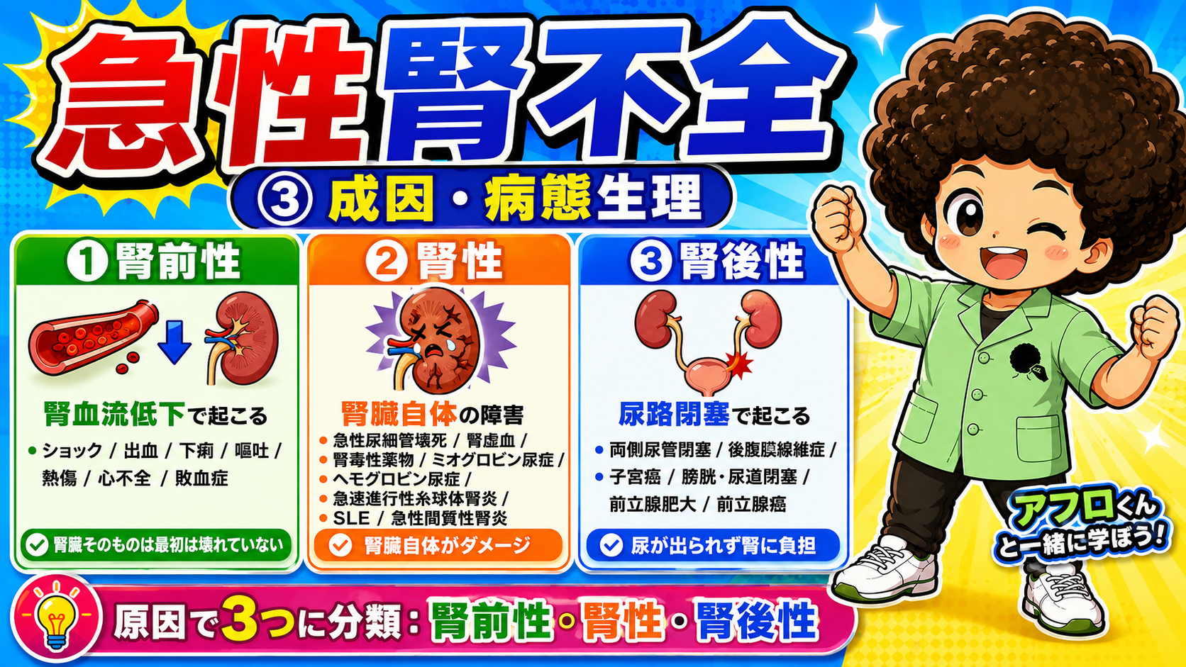 原因による3分類(腎前性・腎性・腎後性)
