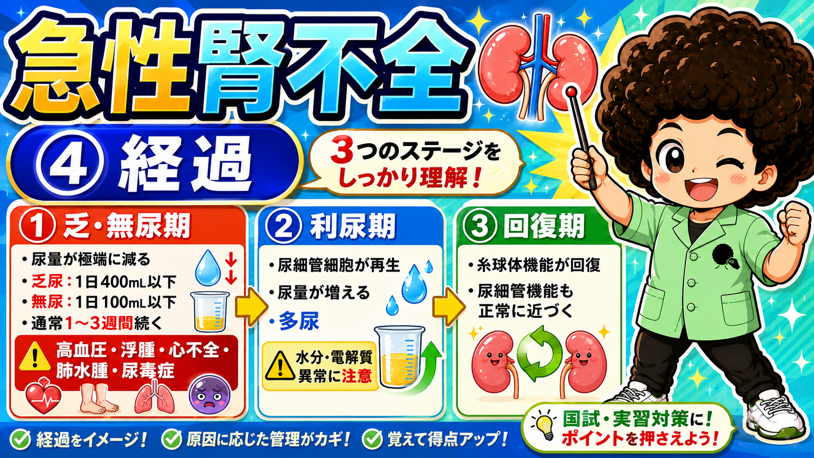 急性腎不全の経過:乏尿・無尿期→利尿期→回復期