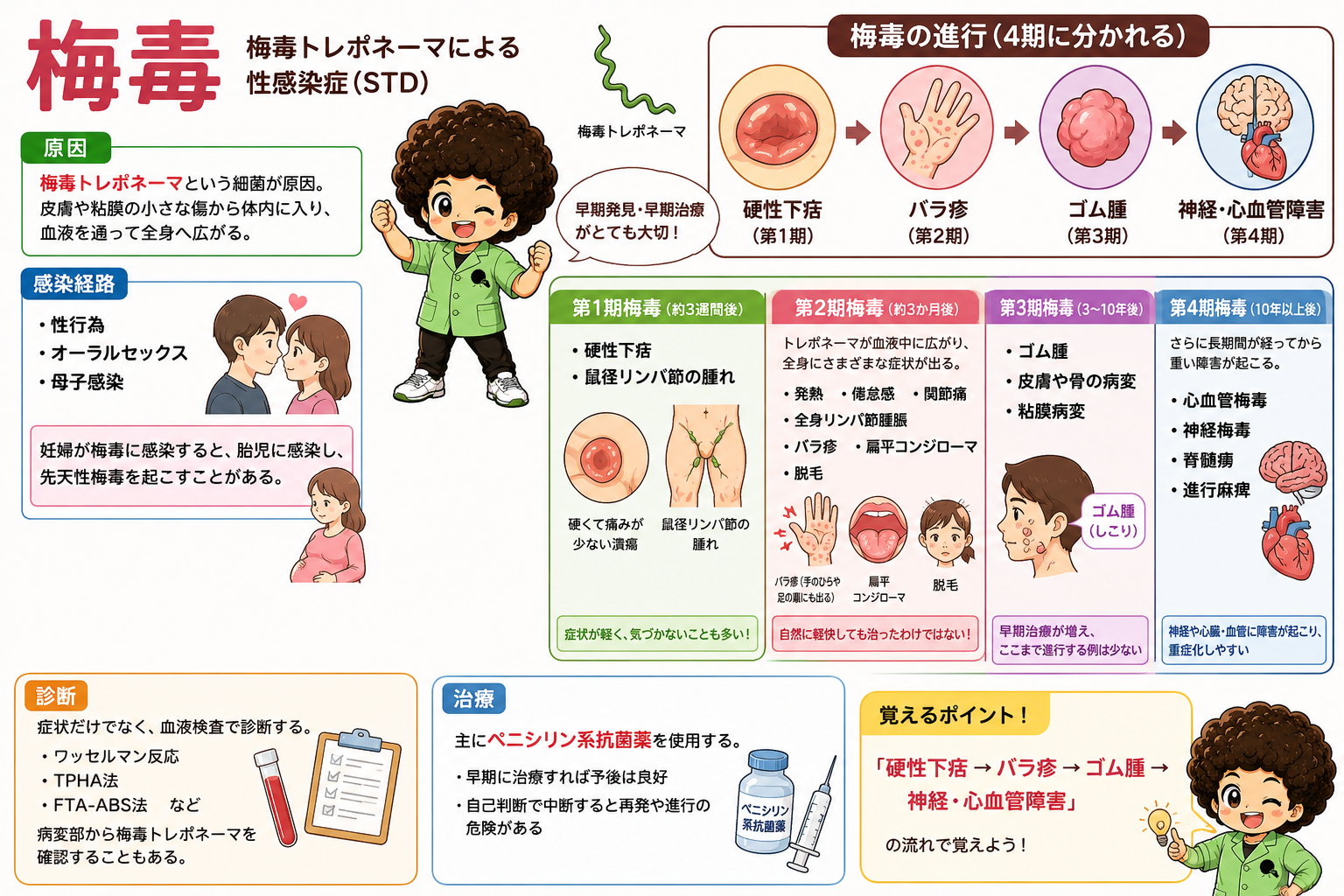 梅毒の進行：硬性下疳→バラ疹→ゴム腫→神経・心血管障害の流れで覚える。