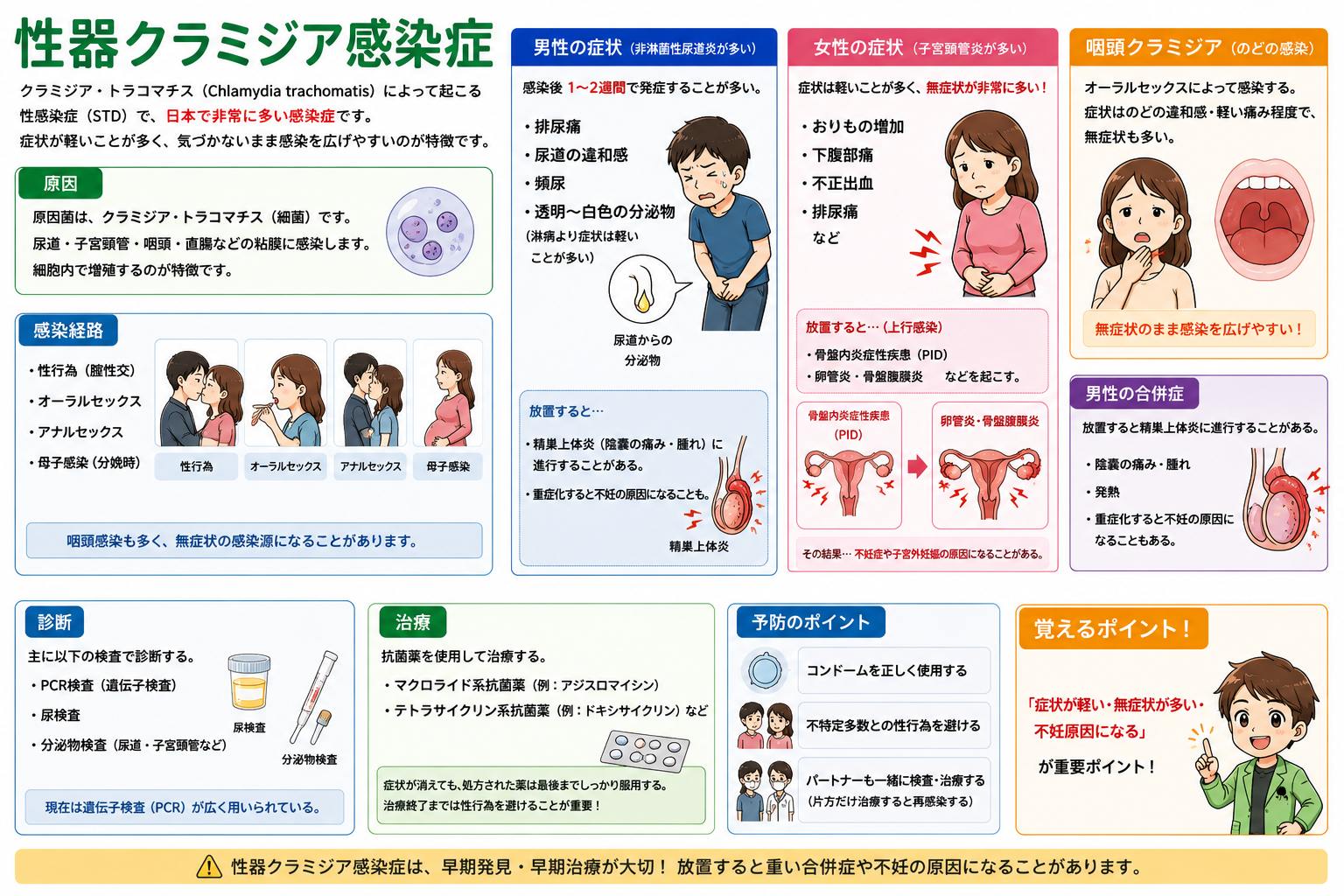 性器クラミジアは「症状が軽い・無症状が多い・不妊原因になる」が要点。