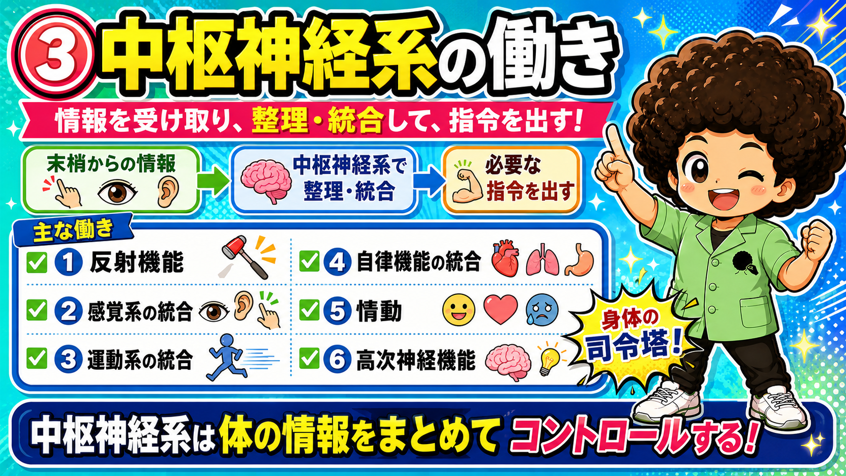 中枢神経系の主な働き6つ（反射・感覚・運動・自律・情動・高次神経機能）