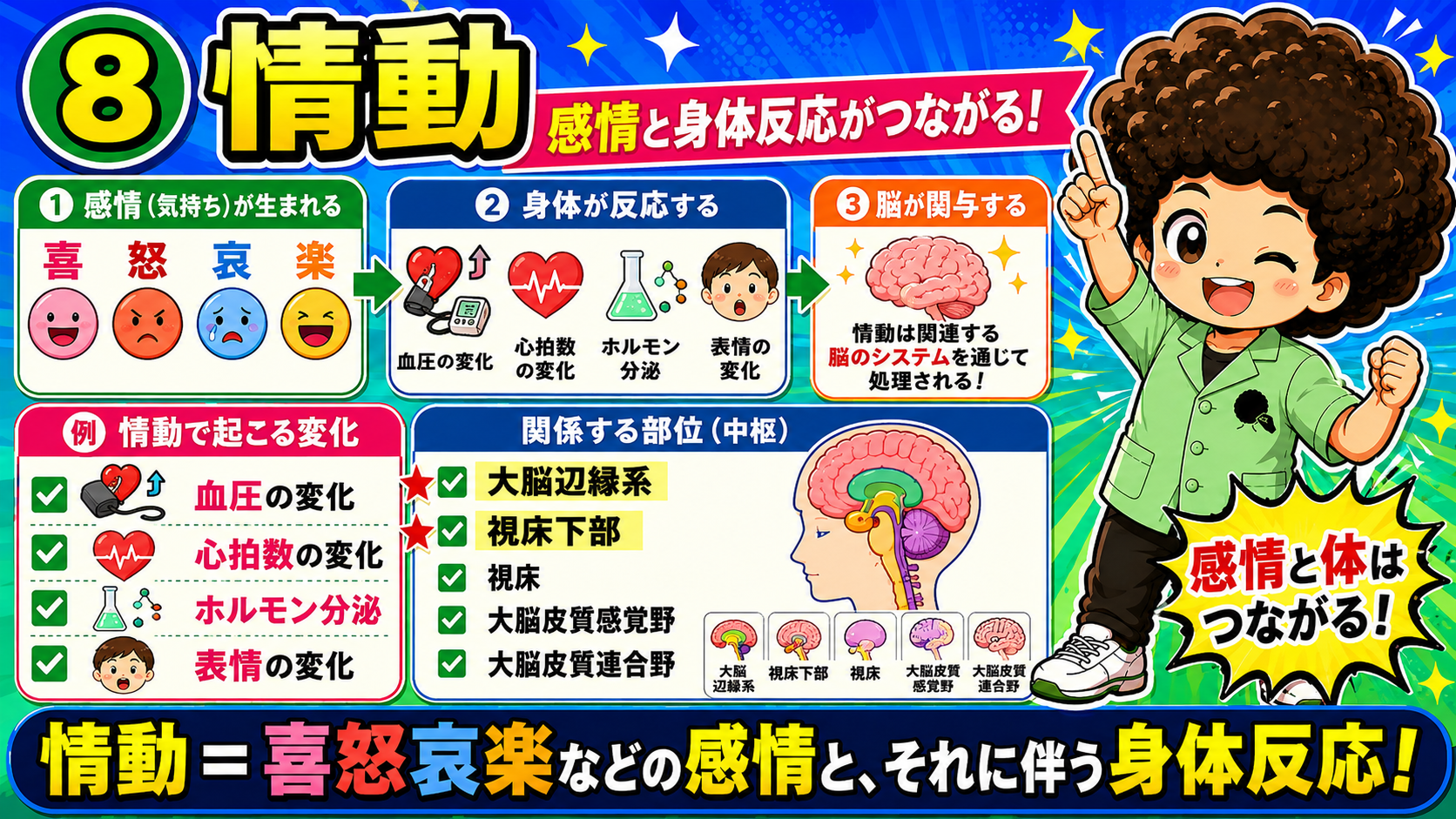 中枢神経系のはたらき｜中枢神経系のはたらき 1