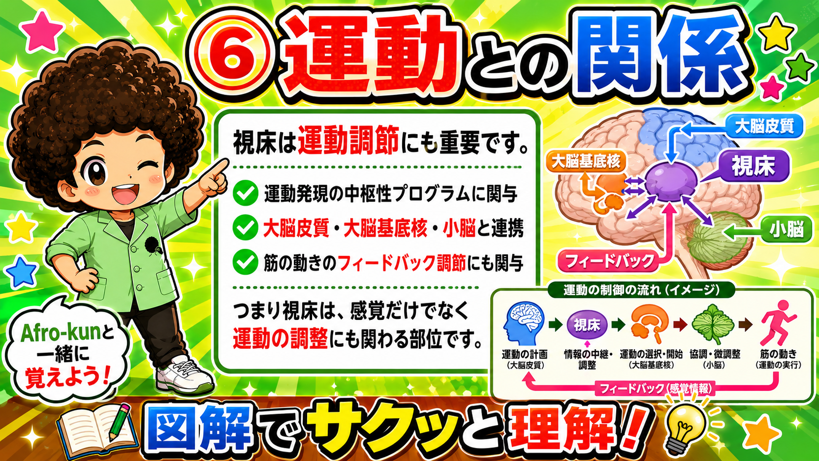 視床は大脳皮質・大脳基底核・小脳と連携し、運動のフィードバック調節に関与する