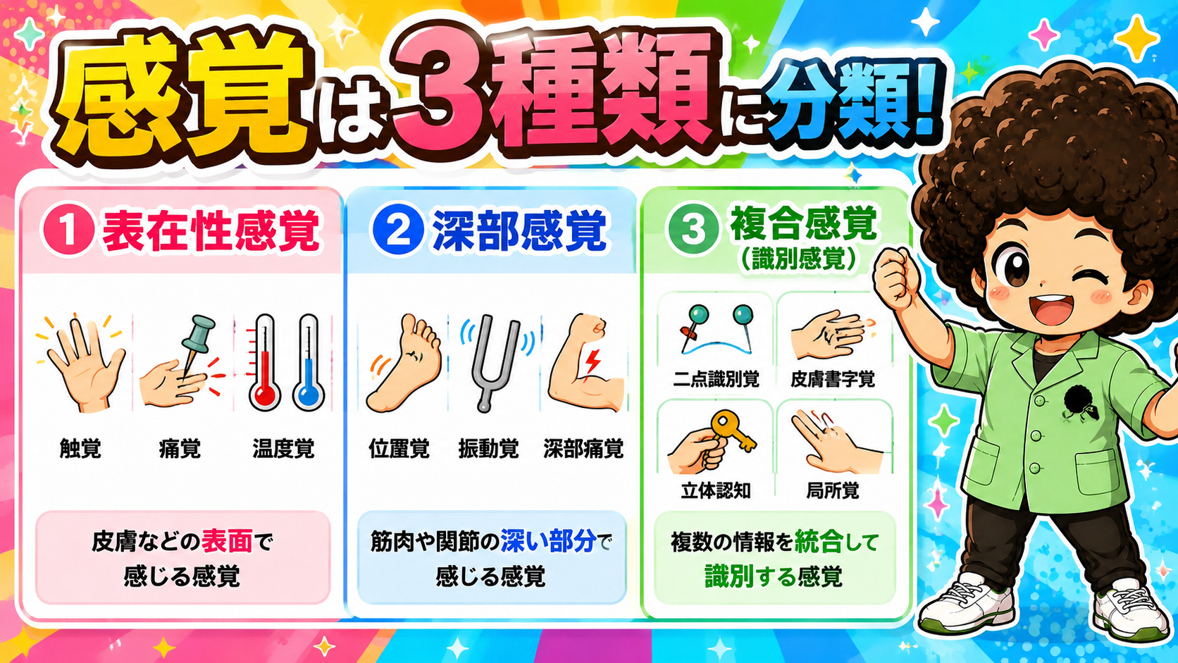 感覚の分類｜感覚の分類 1