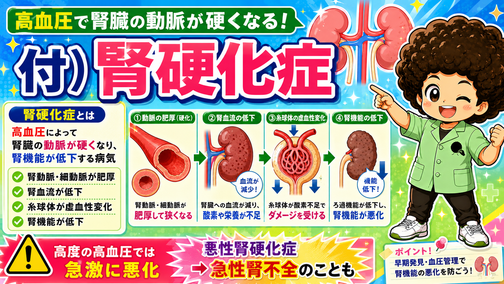 付：腎硬化症の進行機序（高血圧による腎動脈の硬化）