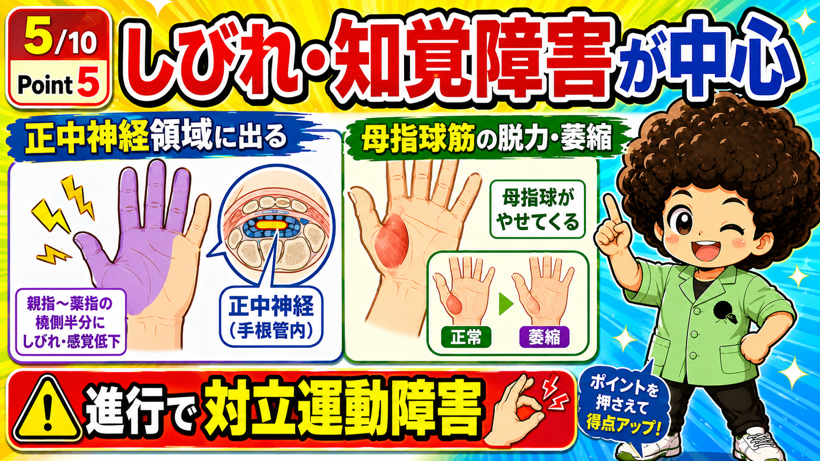 正中神経領域（母指〜環指橈側半分）のしびれと、母指球筋の萎縮・対立運動障害