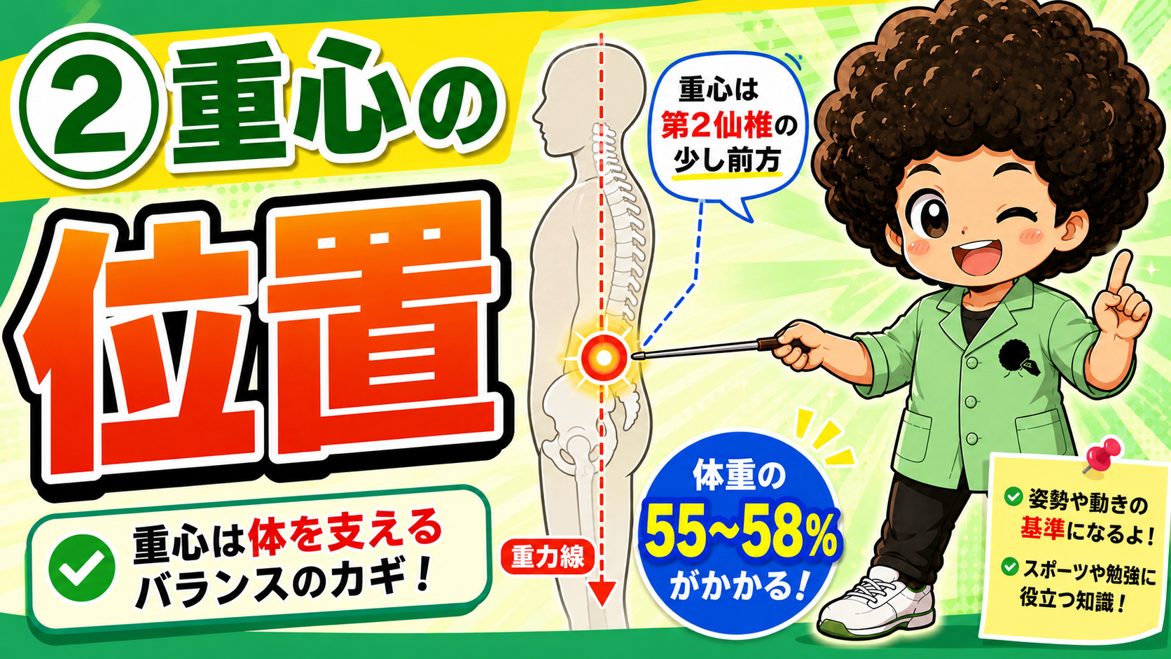 重心の位置：第2仙椎のやや前方、体重（身長）の55〜58%の高さ