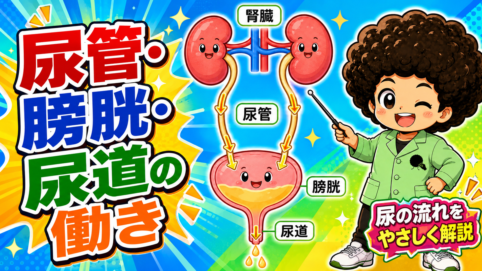 排尿｜排尿 1