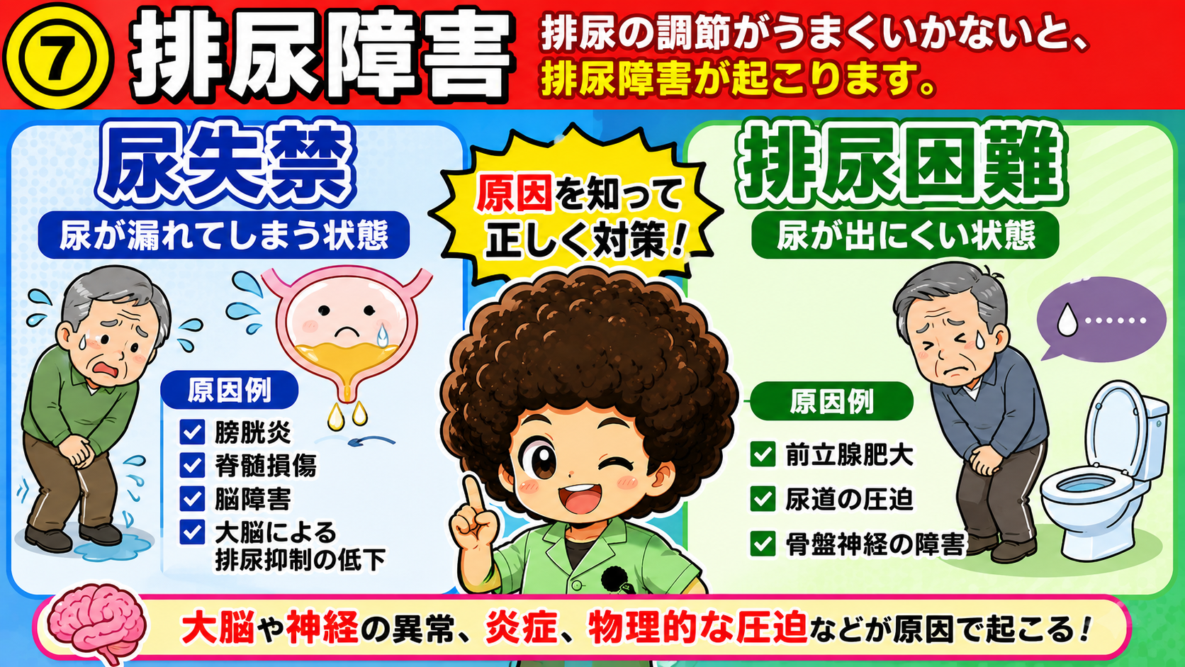 尿失禁と排尿困難の原因例