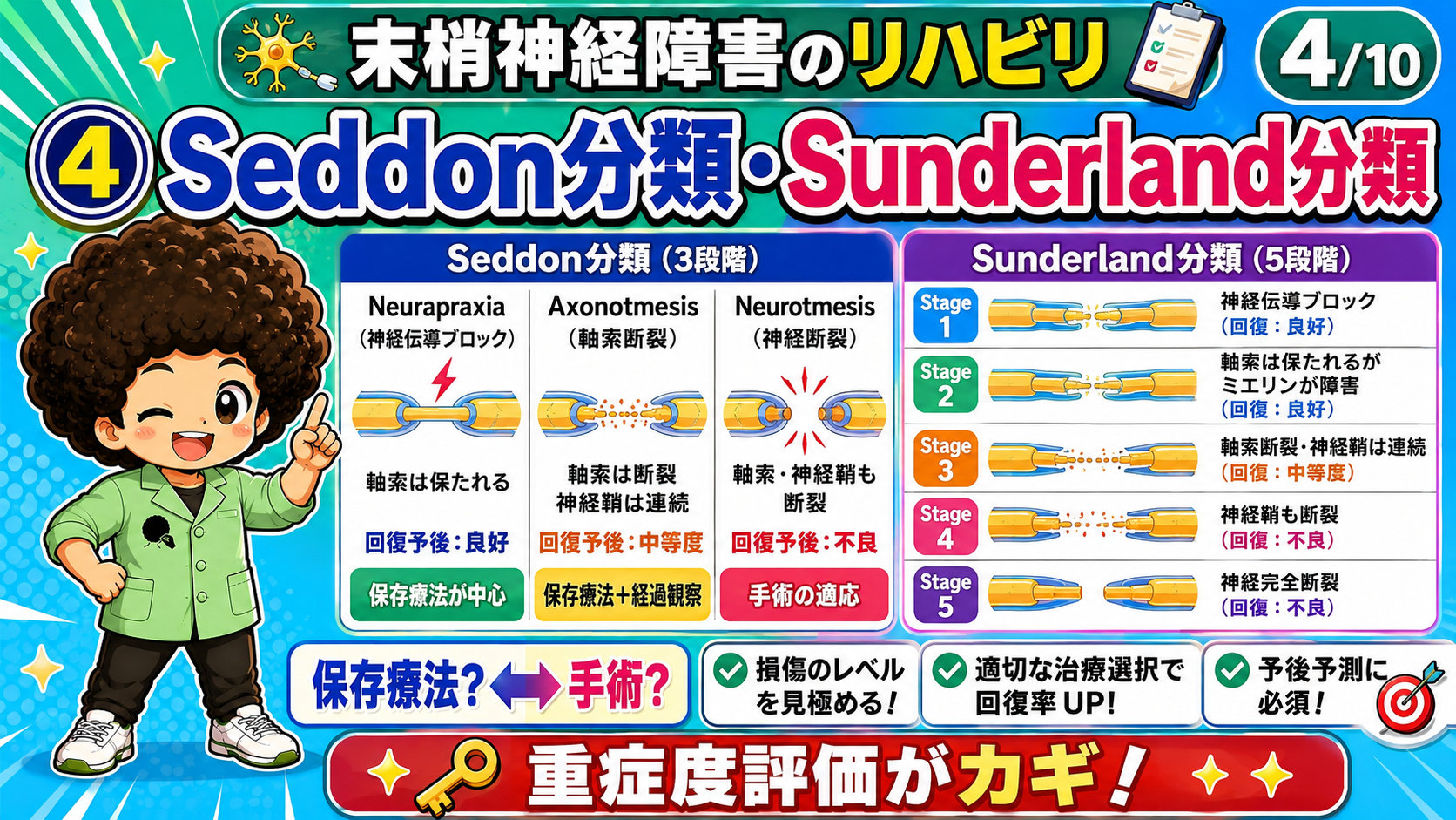 Seddon分類（3段階）とSunderland分類（5段階）の対応。重症度評価が治療選択のカギ