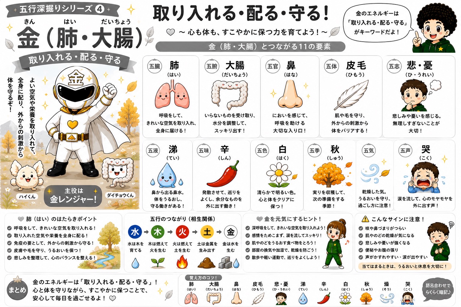 金（肺・大腸）とつながる11の要素。キーワードは「取り入れる・配る・守る」