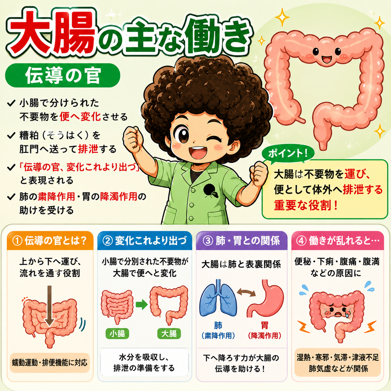 大腸（六腑）｜大腸（六腑） 1
