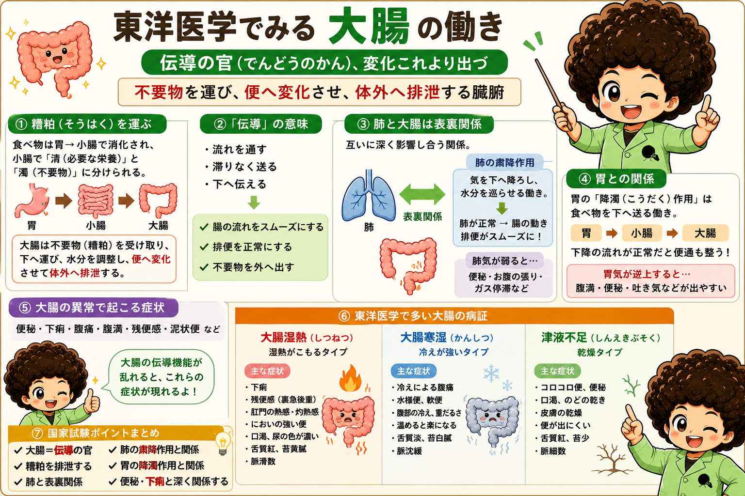 肺と大腸は表裏関係、胃の降濁作用との関係